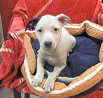 Photo of Sammi 0116