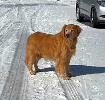 Photo of Denali