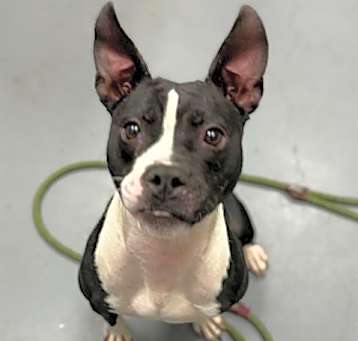 Photo of MUNCHIE