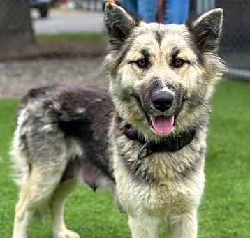 Photo of *ARWEN