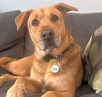 Photo of Lola