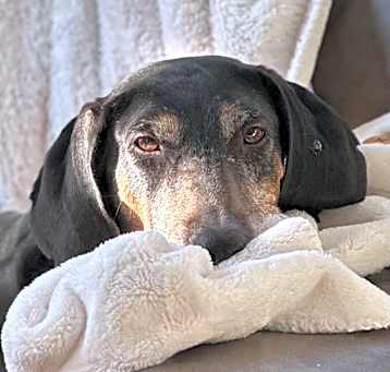 Photo of Thelma Lou