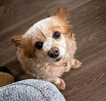 Photo of Little Bit