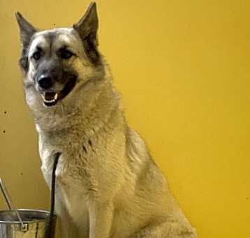 Photo of Gia