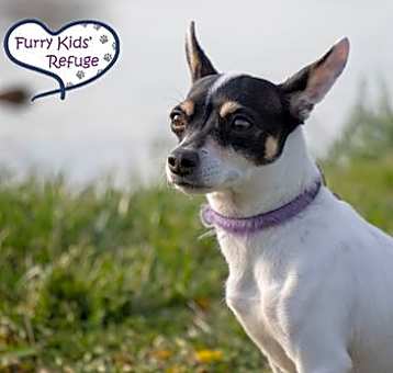 Photo of Freya