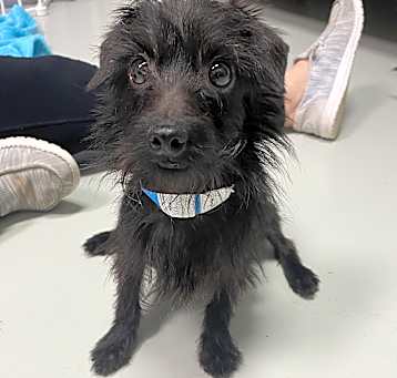 Photo of Cosmo