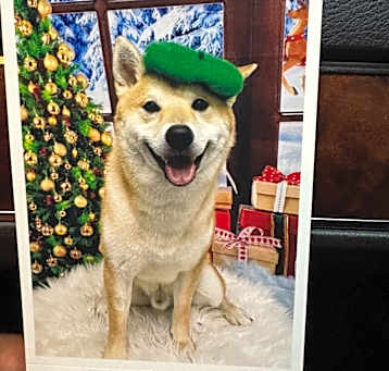 Photo of Kai