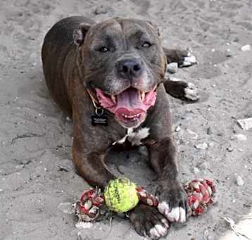 Photo of Daisy Lynn - Off-Site Foster