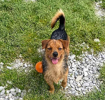 Photo of Hunter