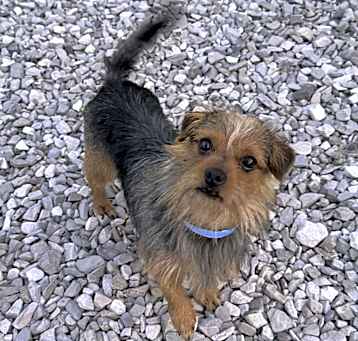 Photo of Statler