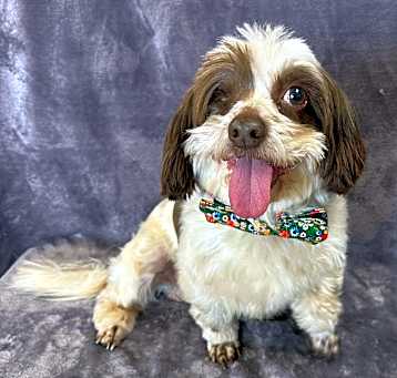 Photo of Walter