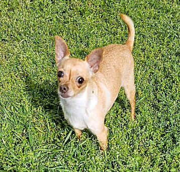 Photo of Baby Ruth