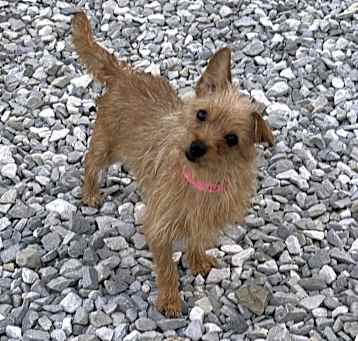 Photo of CoCo