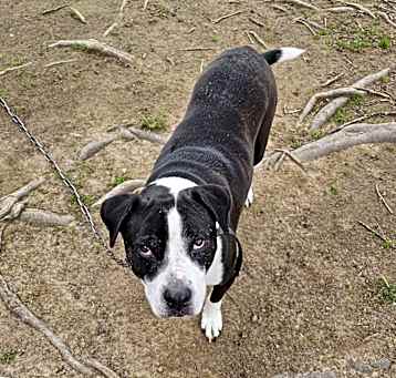 Photo of Remi