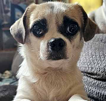Photo of Ellie Mae