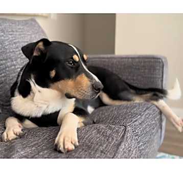 Photo of Oakley