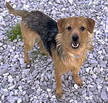 Photo of Charlie