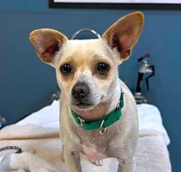Photo of LUCKY