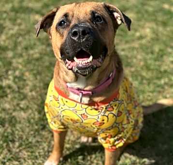 Photo of Holly