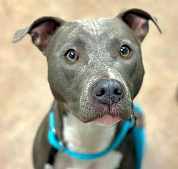 Photo of Nyla