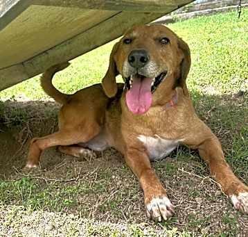 Photo of Bones