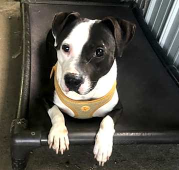Photo of Zeus
