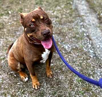 Photo of Macie