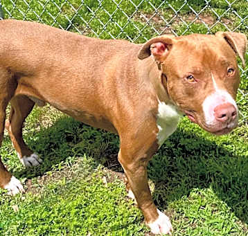 Photo of Murphy