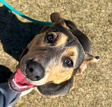 Photo of Delilah