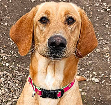 Photo of Jill
