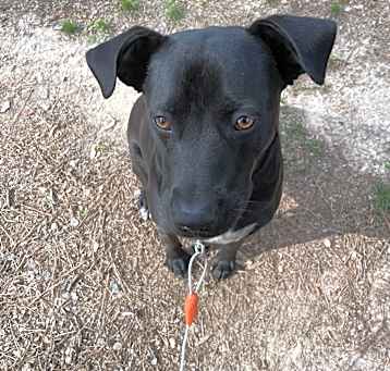 Photo of Tank