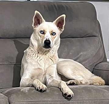 Photo of Cali