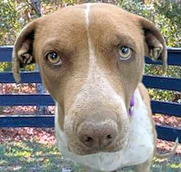 Photo of CECILY*