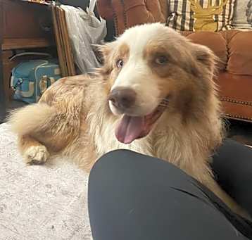 Photo of Conrad/Luka