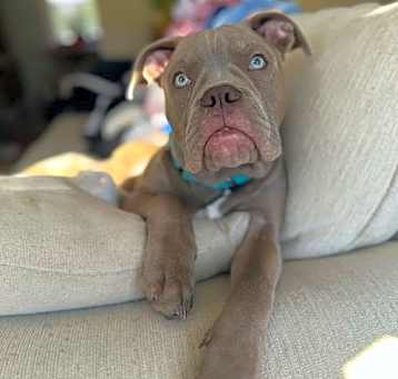 Photo of Tiny