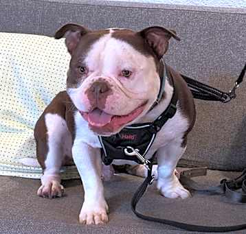 Photo of Herbie