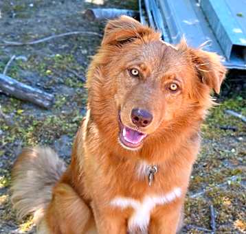 Photo of MATEO