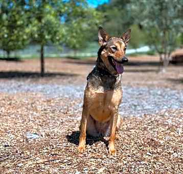 Photo of Duchess
