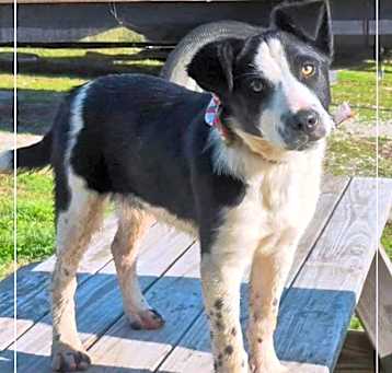 Photo of Lainey