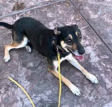 Photo of Suzie Q