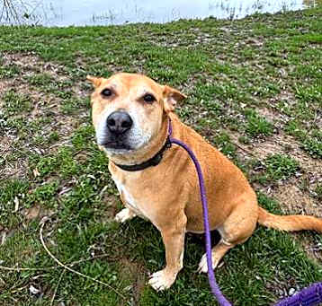 Photo of BUDDY