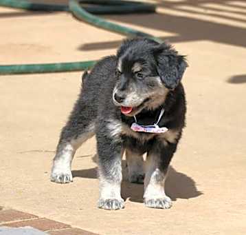 Photo of Baby Gigi