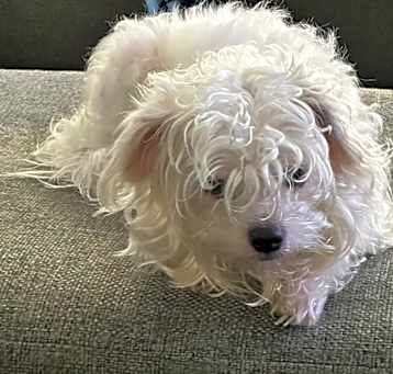 Photo of Lexi