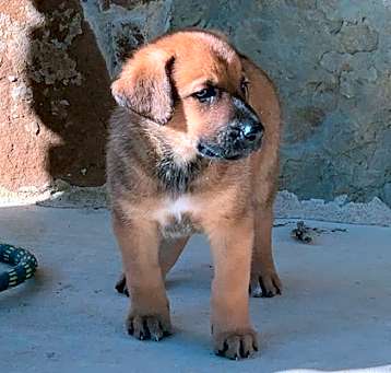 Photo of RoRo