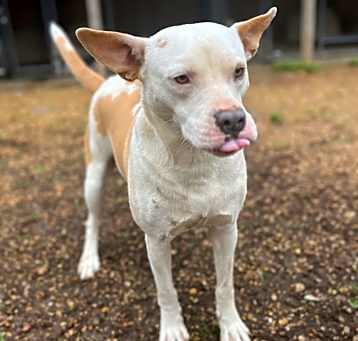 Photo of Elsa