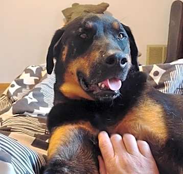 Photo of Capone