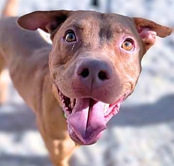 Photo of COCO