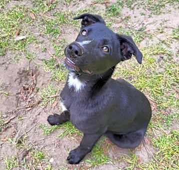 Photo of Missy