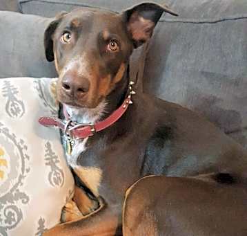 Photo of Zena
