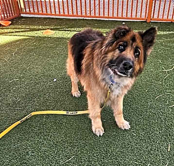 Photo of Leo